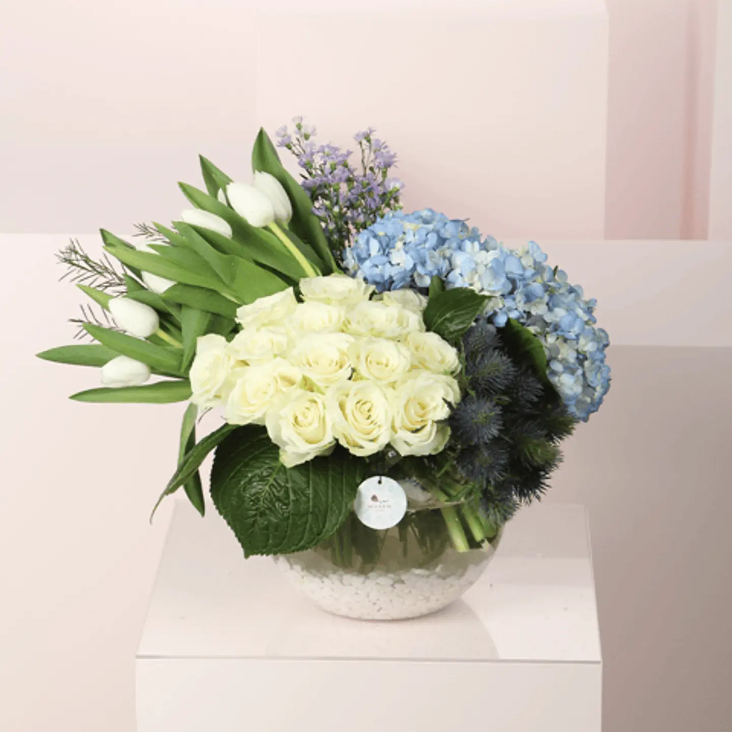 فازة تميز التوليب