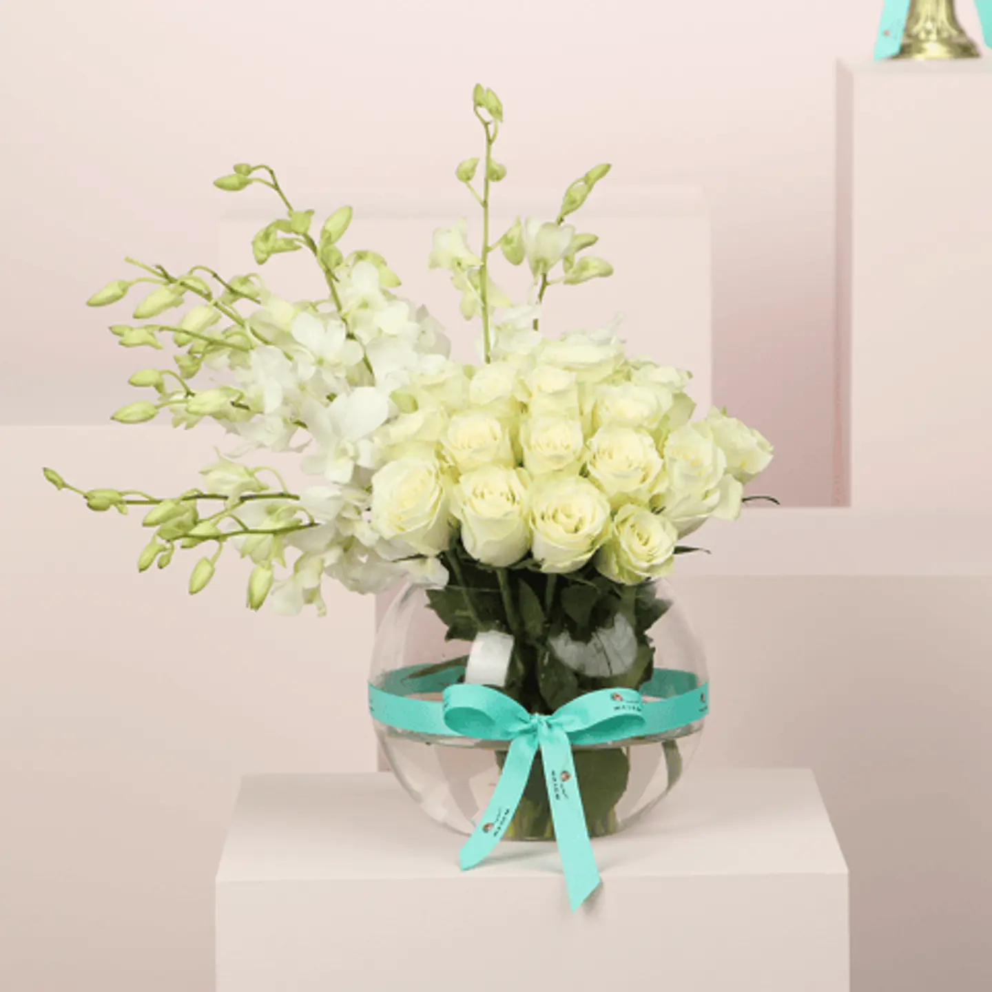 فازة نقاء الأوركيد الأبيض