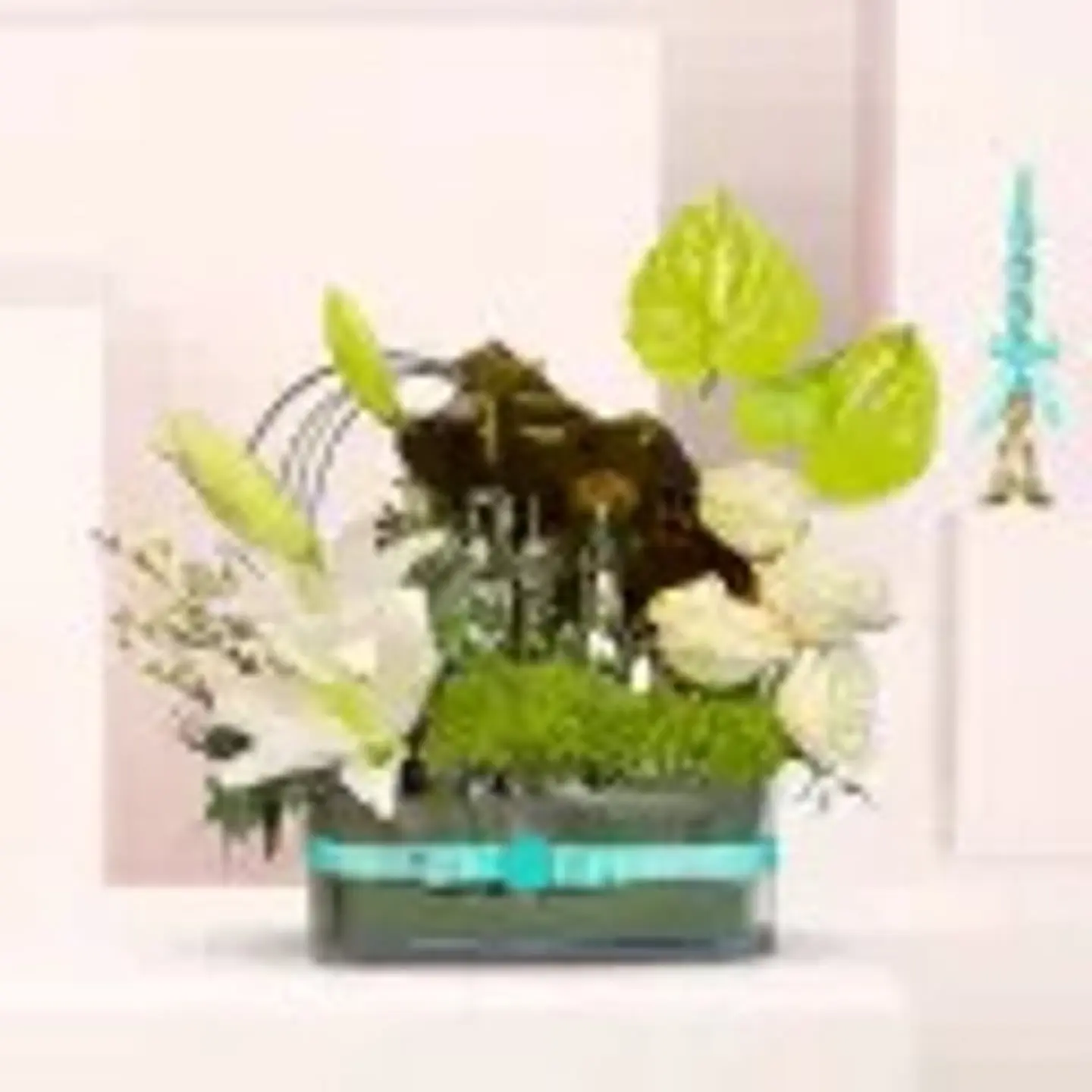 فازة أمجاد السعودية