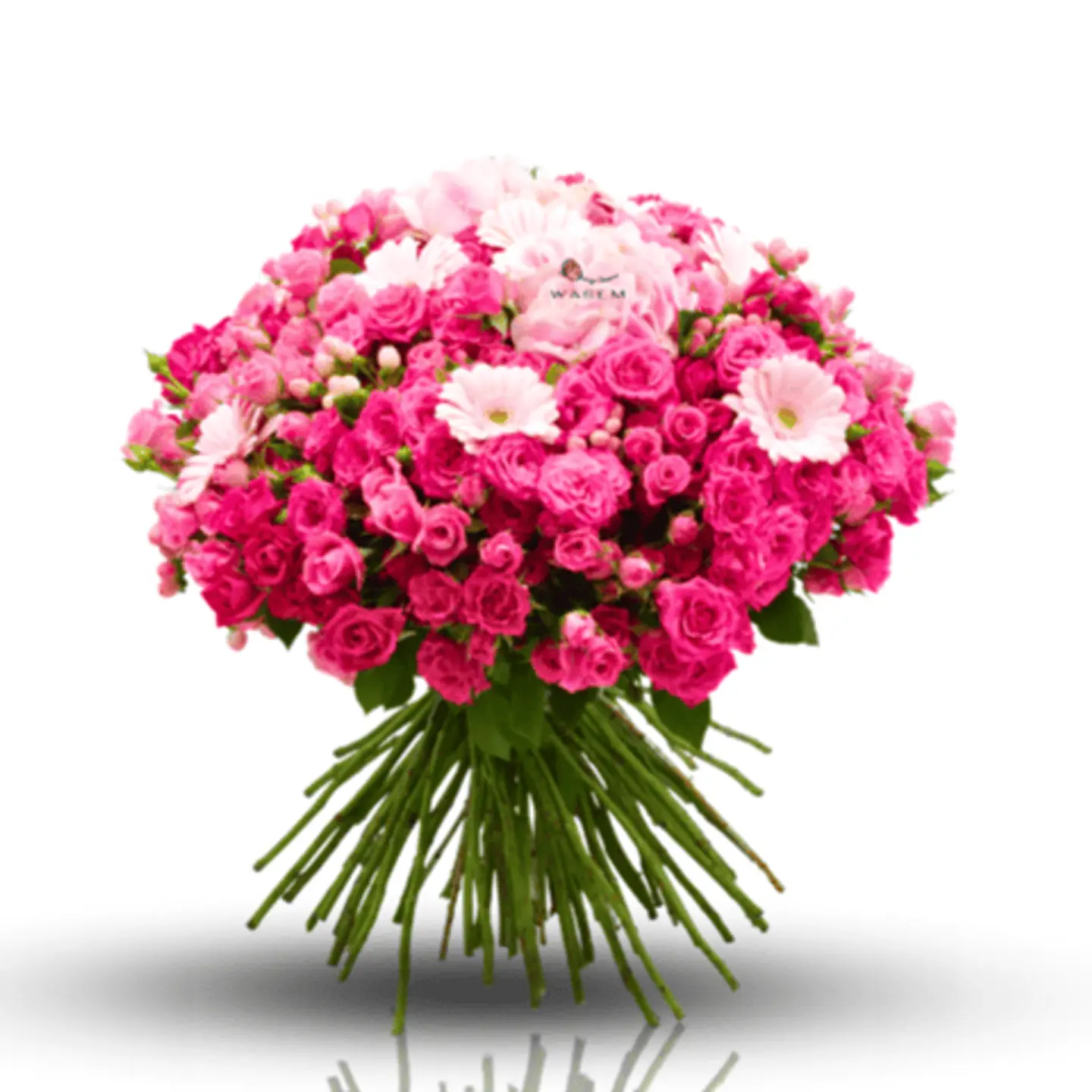 زهور الحديقة الوردية