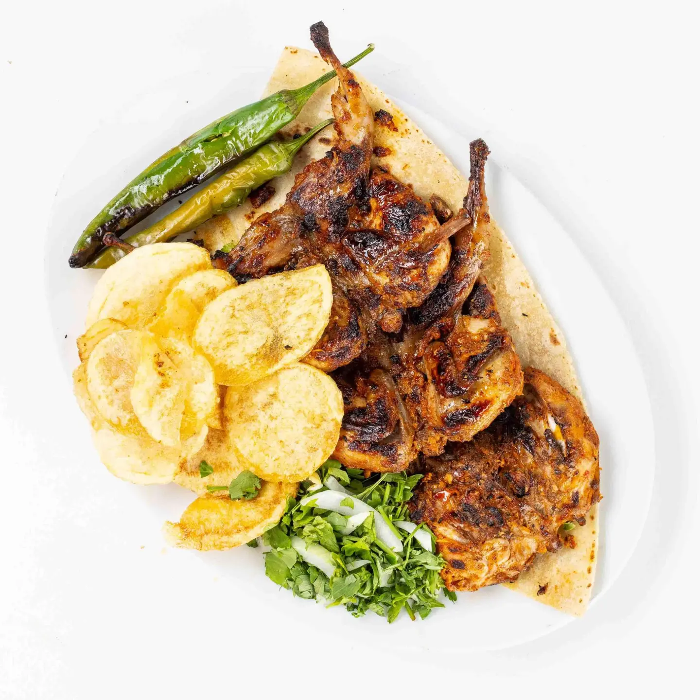 طيور سمان (فري)