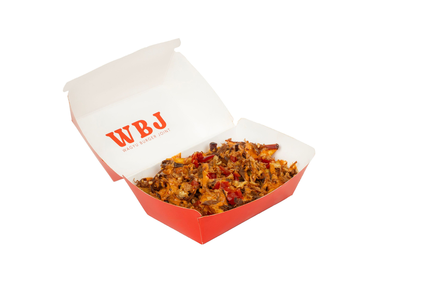 Brisket French Fries