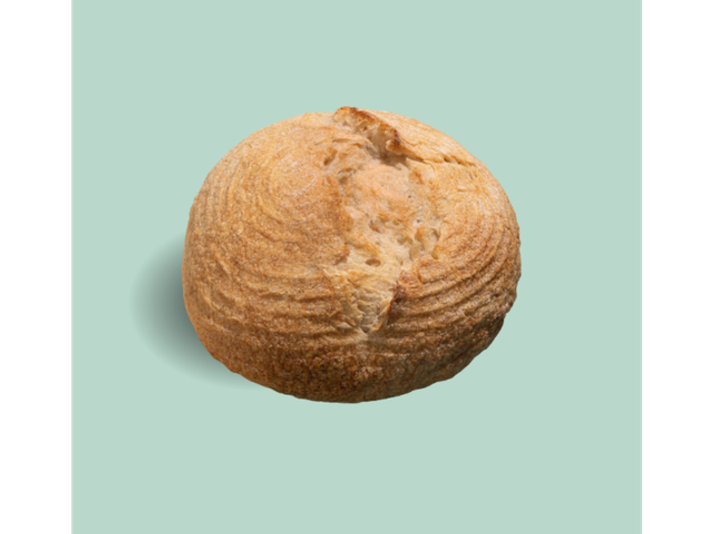 ساور دو أبيض