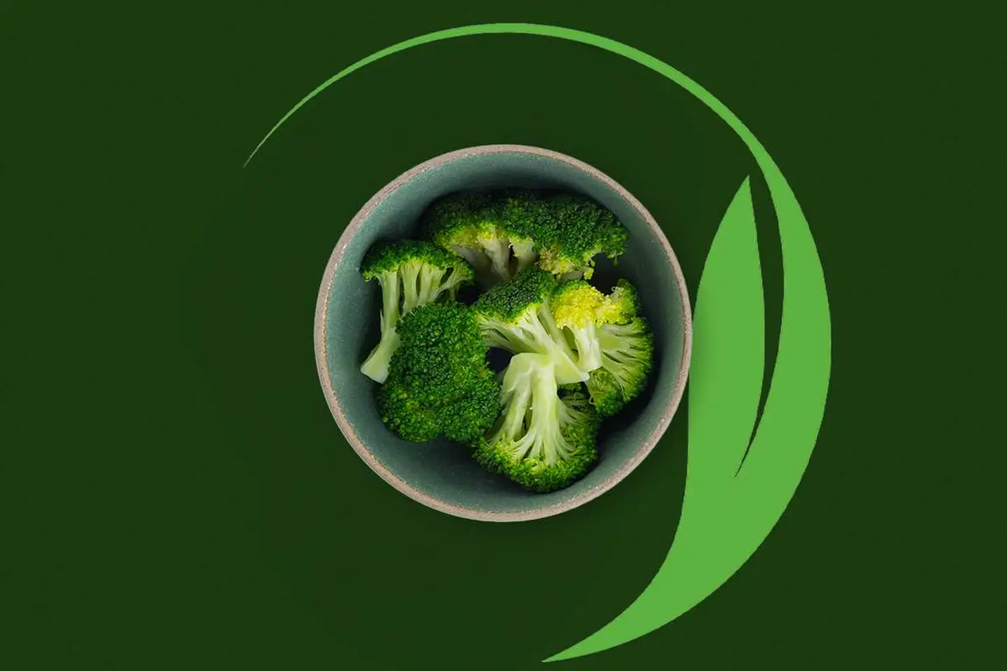 Steamed Broccoli