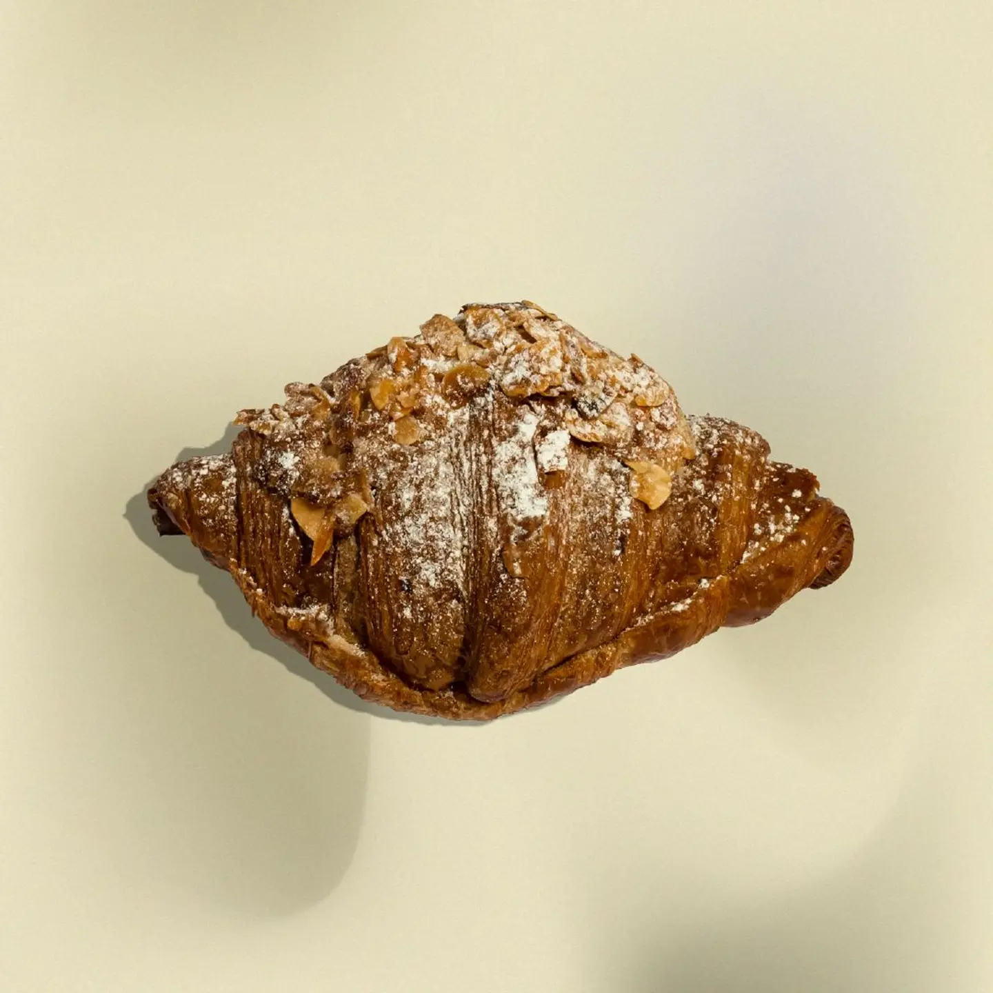 كورسان لوز