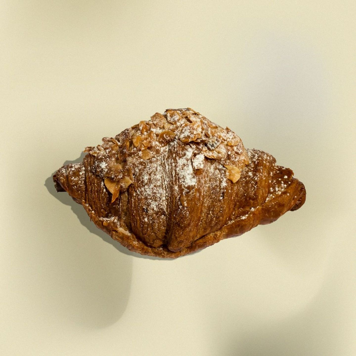 كورسان لوز