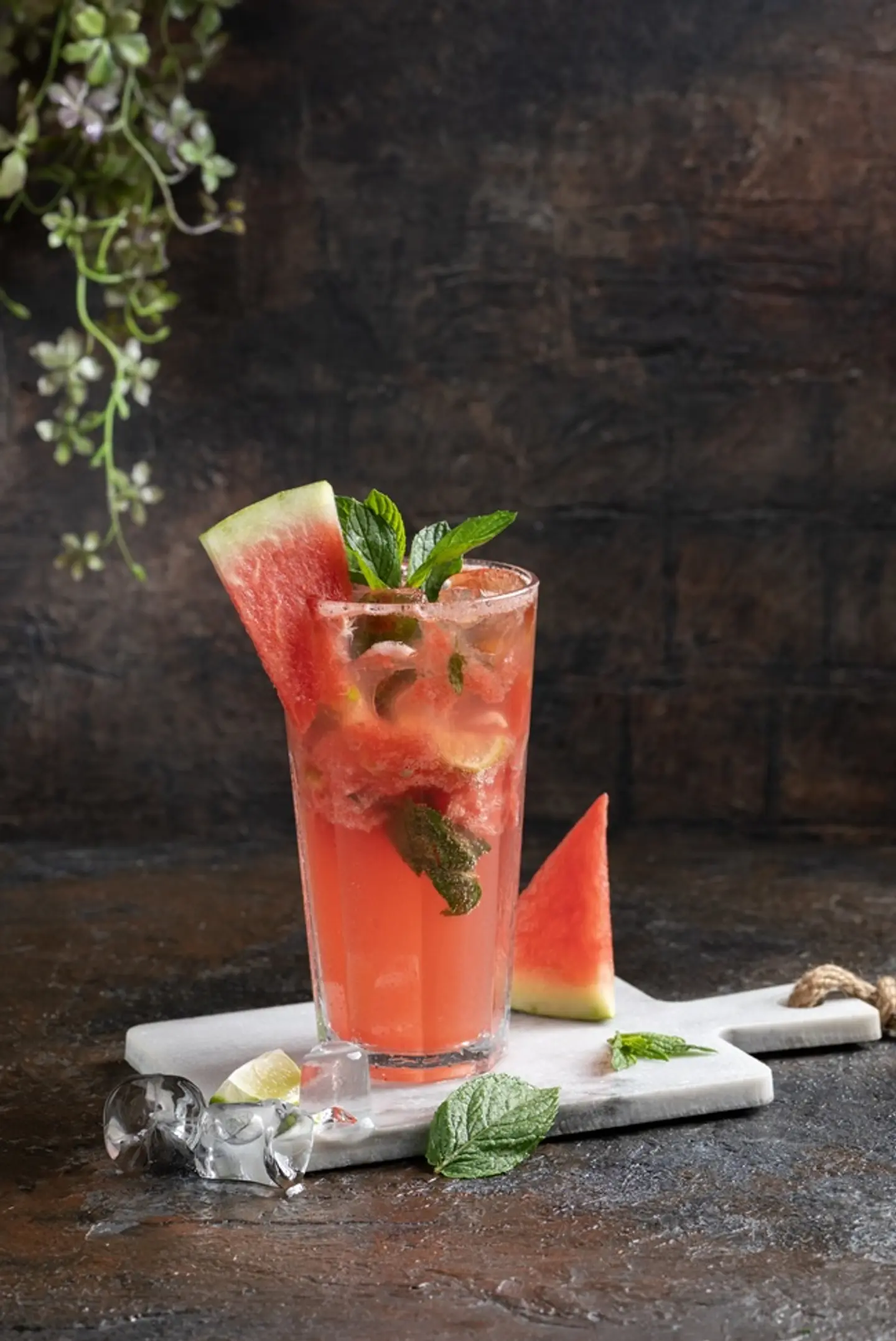 Watermelon Mojito