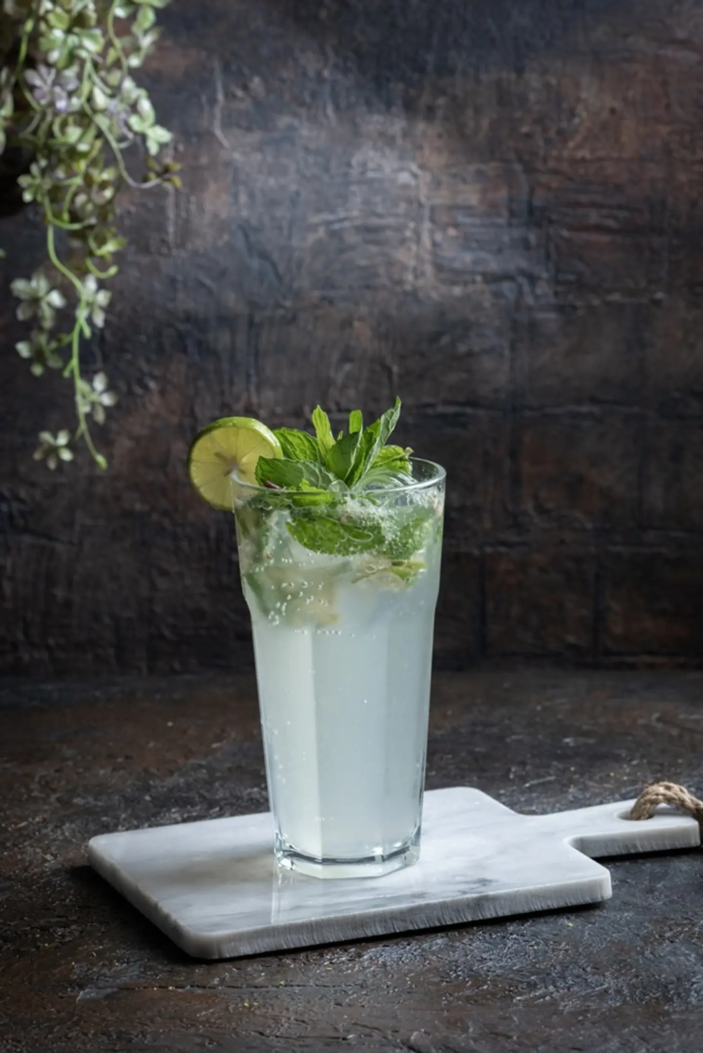 موهيتو كلاسيك