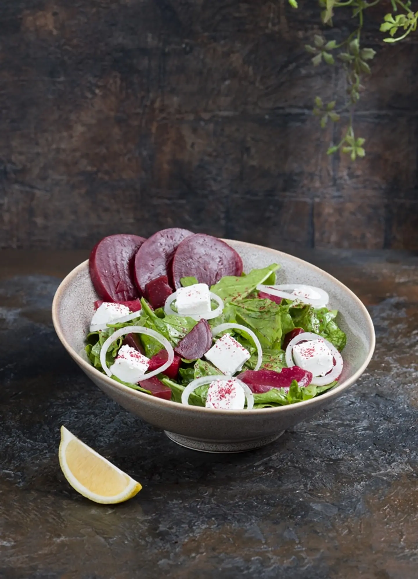 سلطة الشمندر