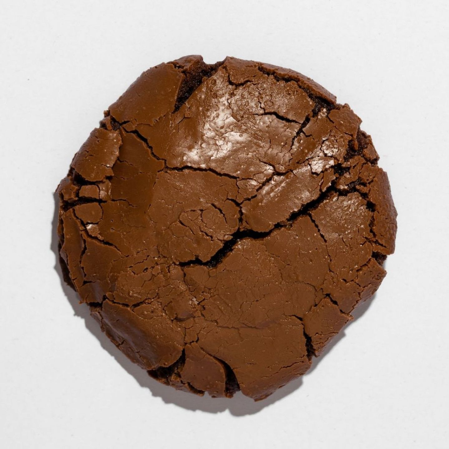 Double Chocolate Cookies