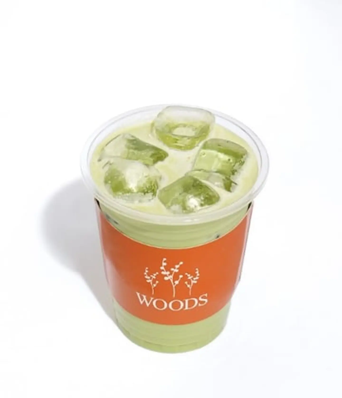 Iced Matcha Latte