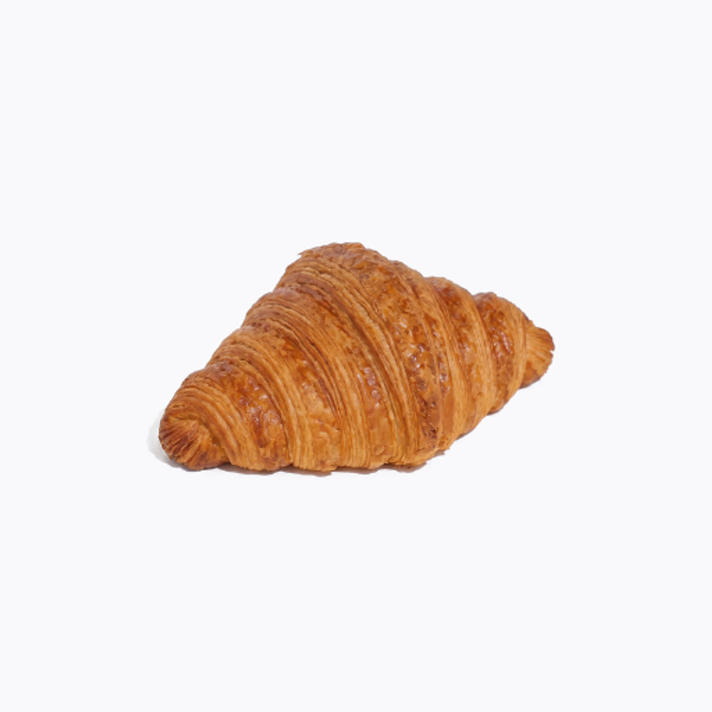 Plain Croissant