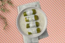 كوسه باللبن