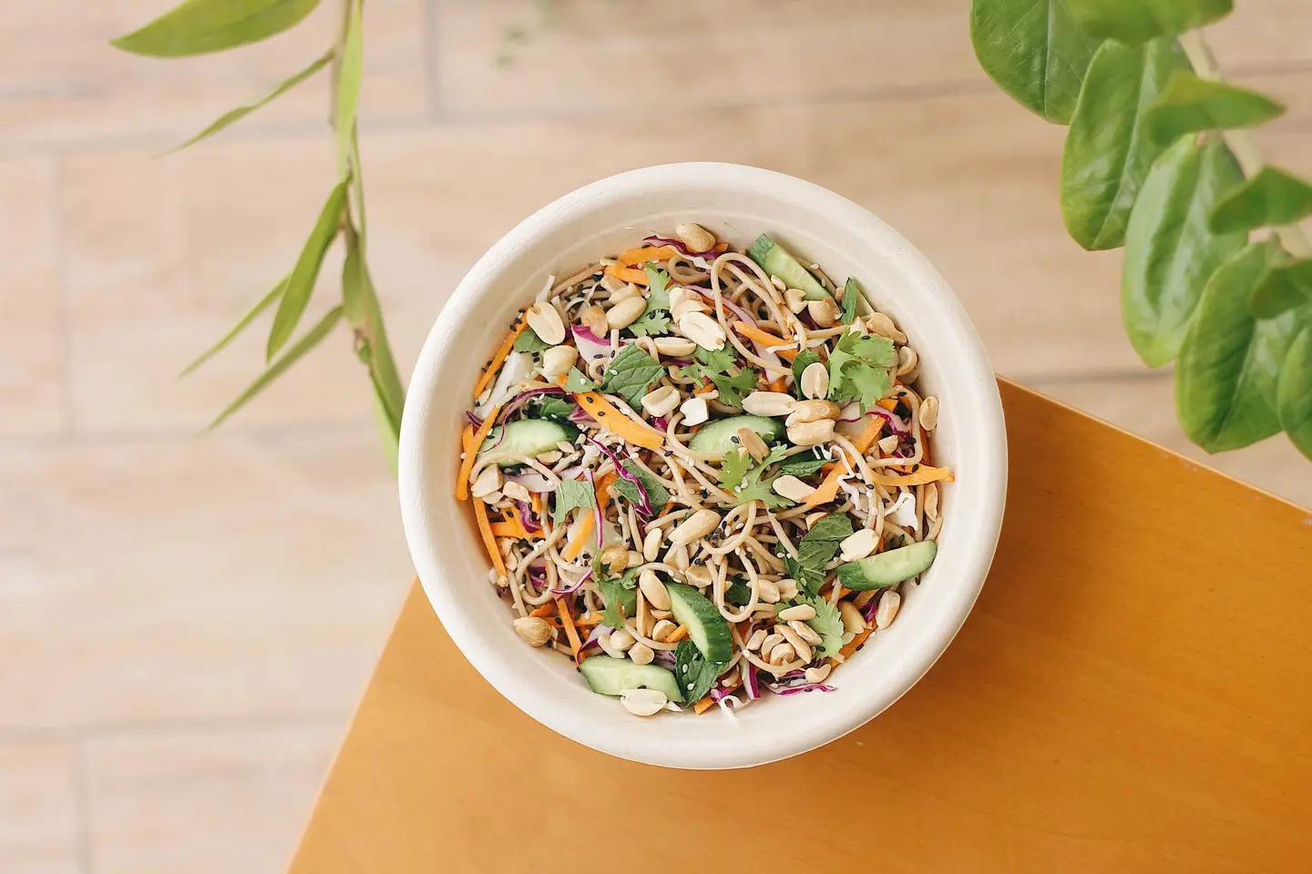 Japanese Noodles Salad