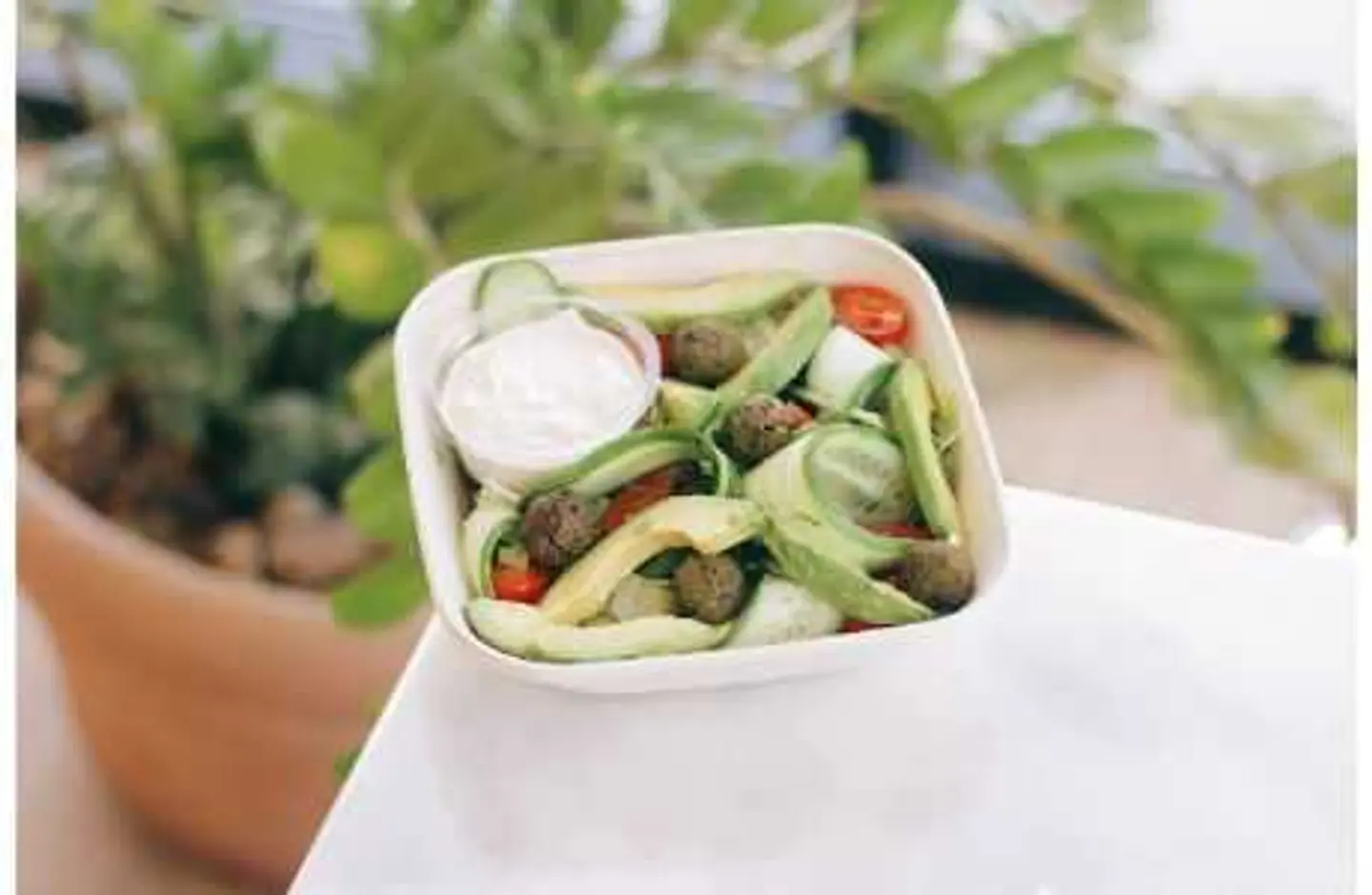 Quinoa Falafel Salad