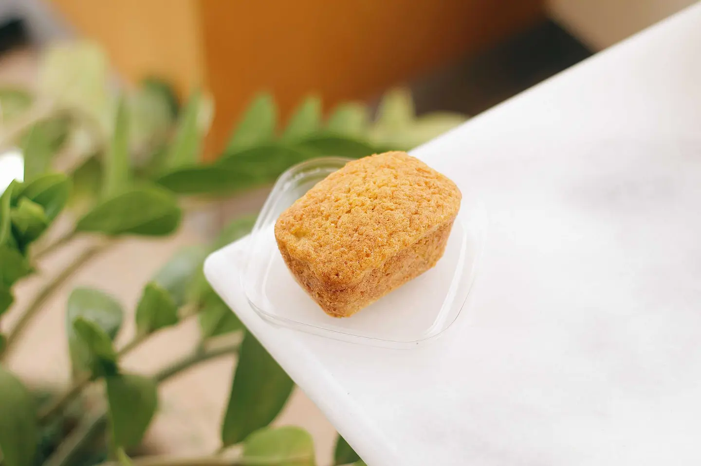 Carrot Walnut Cake