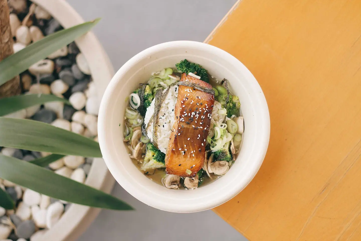 Salmon Miso