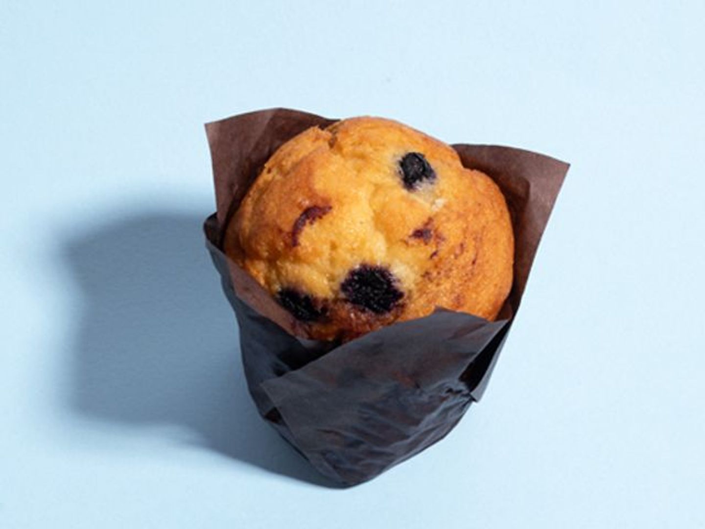 Muffin Lemon Blueberry