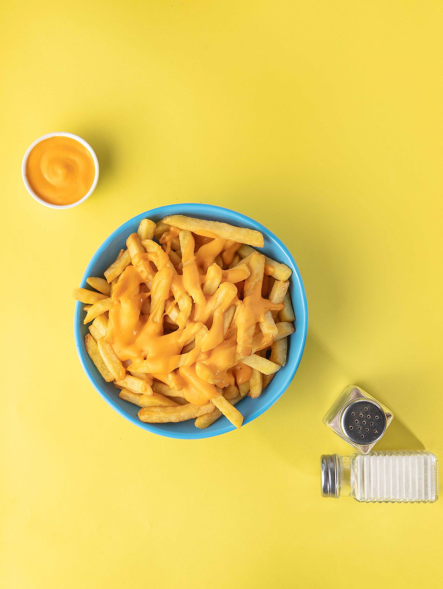 Cheese Fries