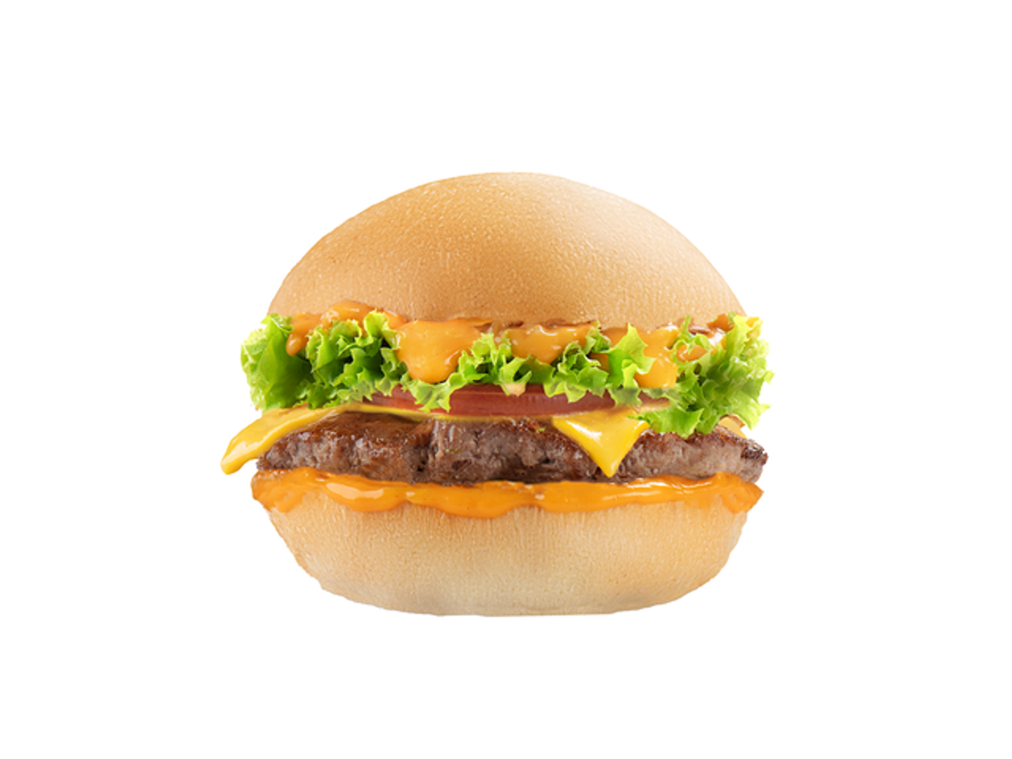 عرض سنجل جيزر
