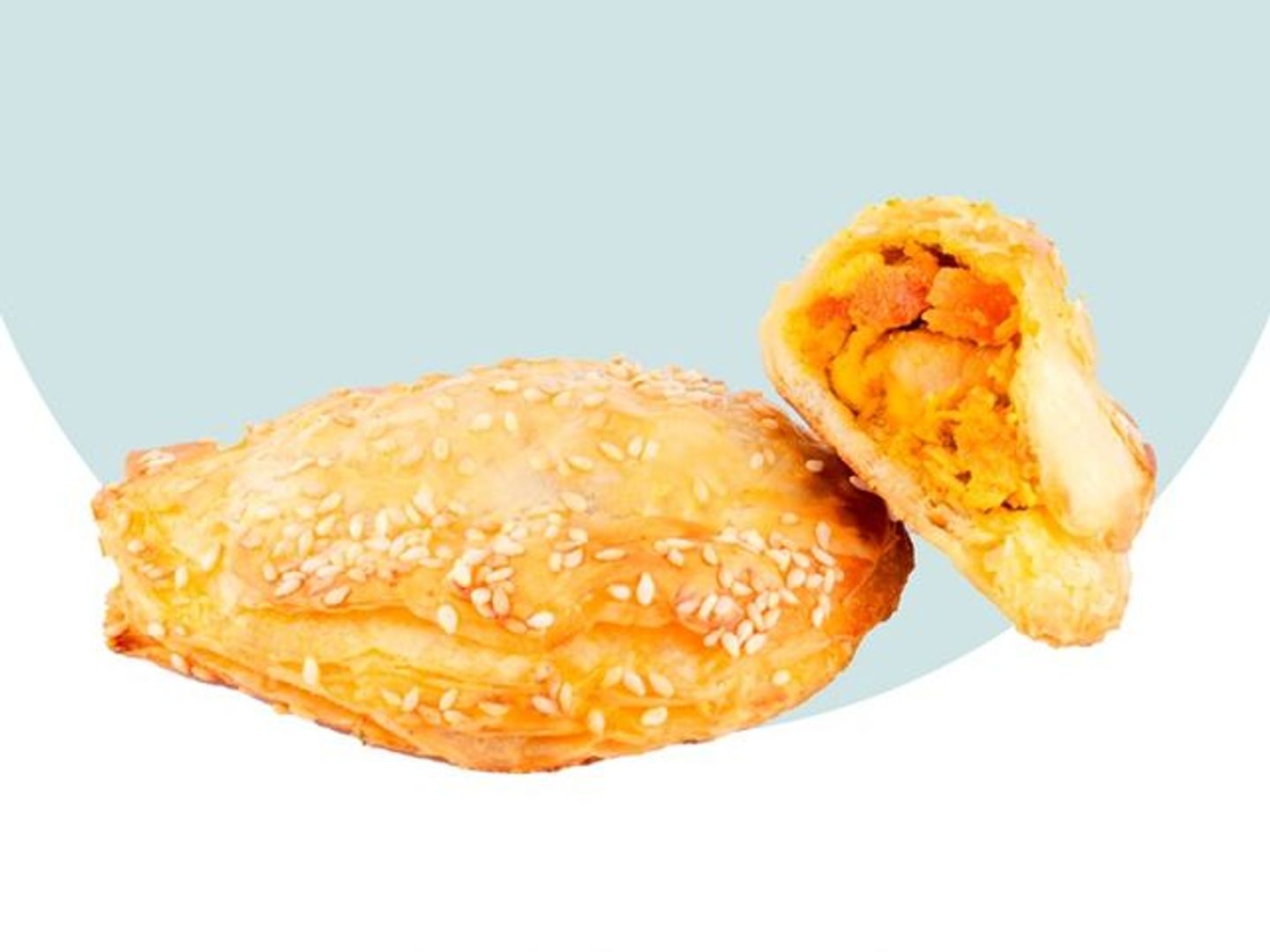 Small Chicken Curry Empanada