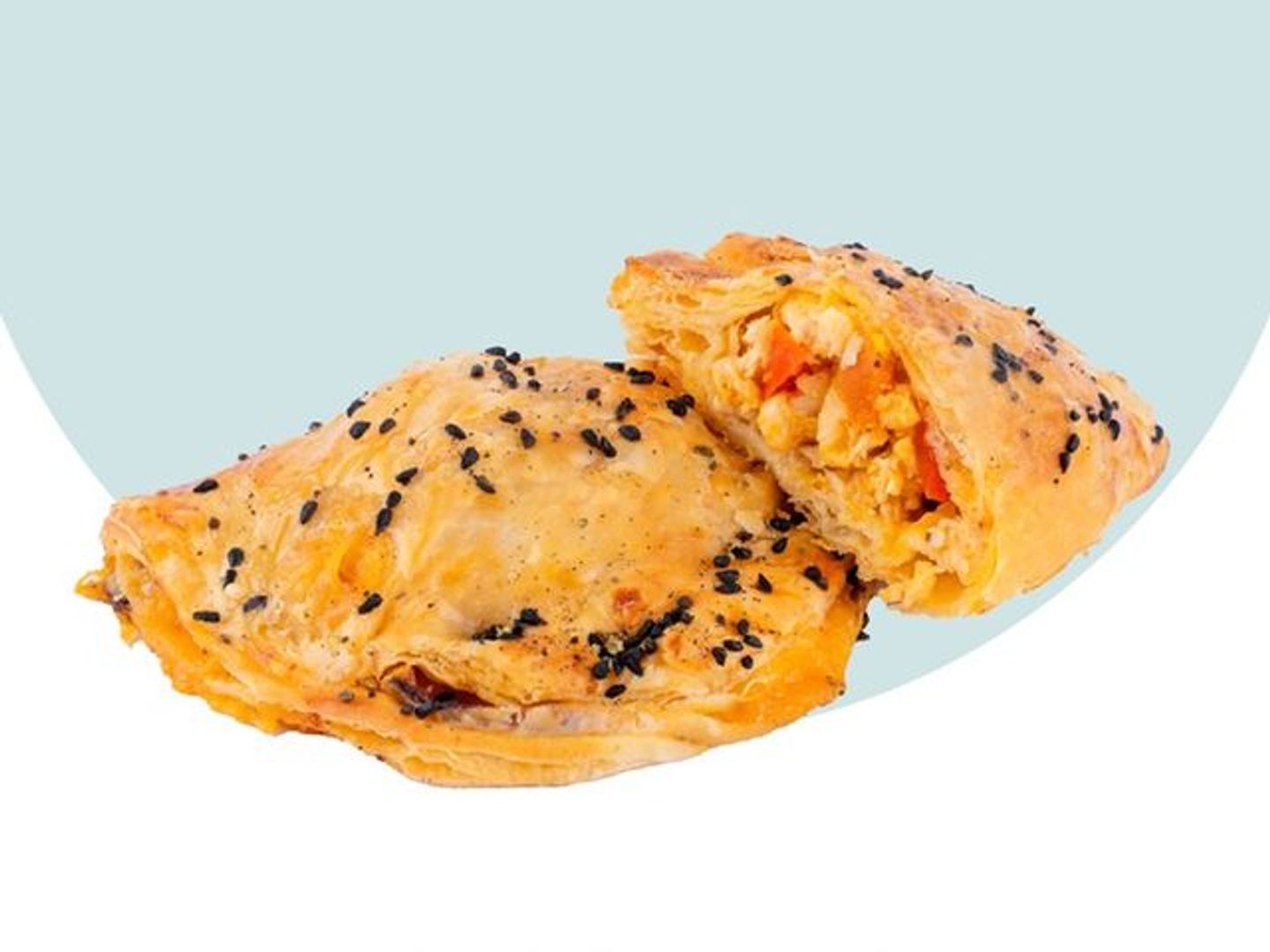Small Chicken Fajita Empanada