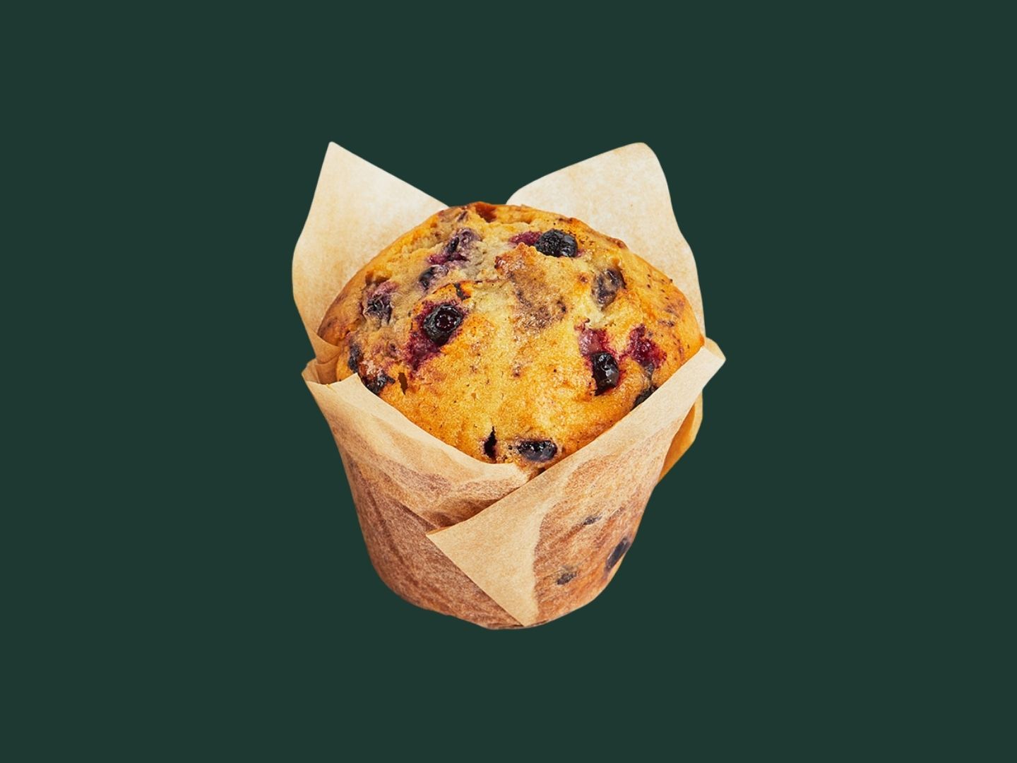 Blueberry Muffin