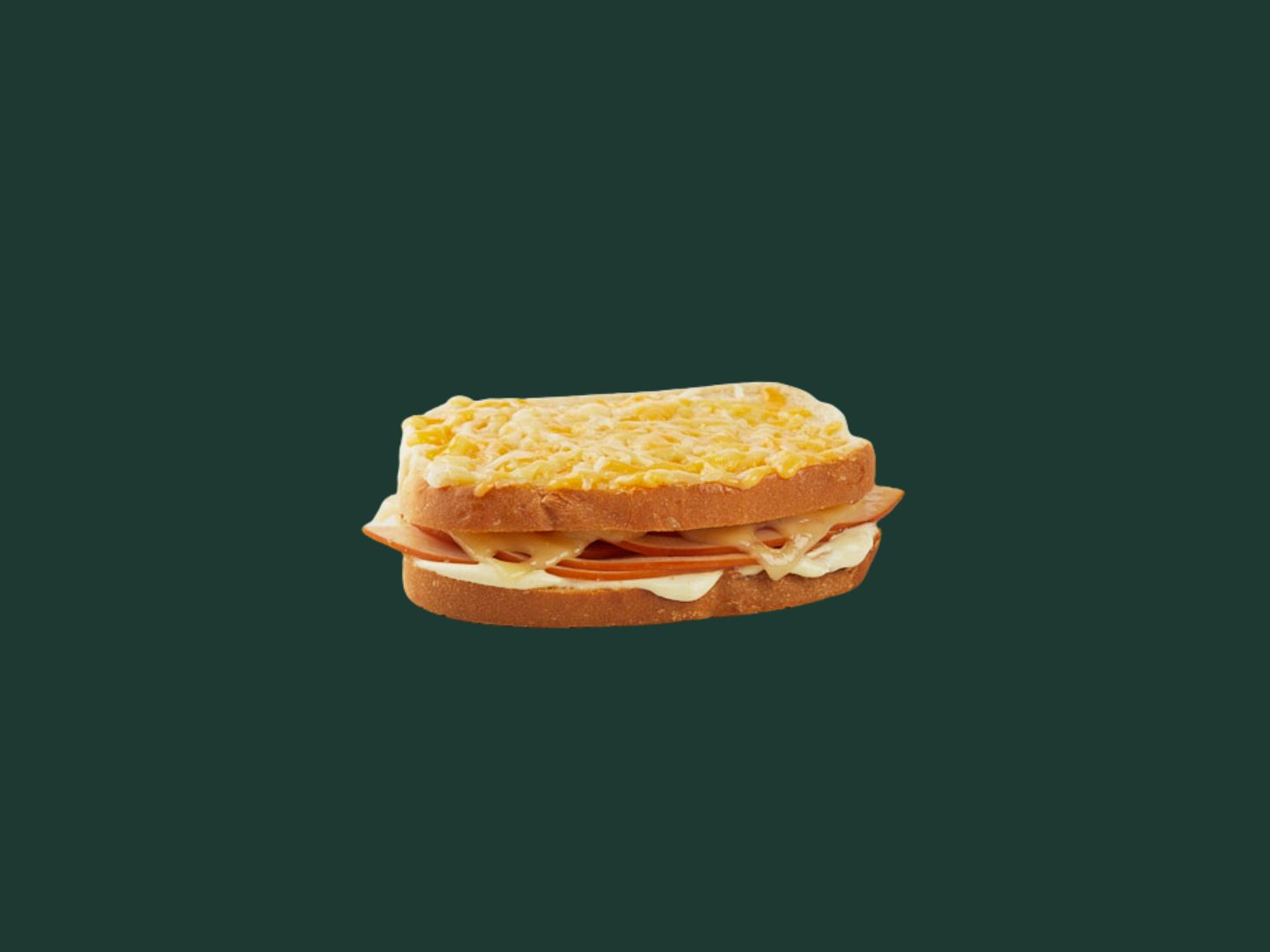 Turkey & Cheese Toastie