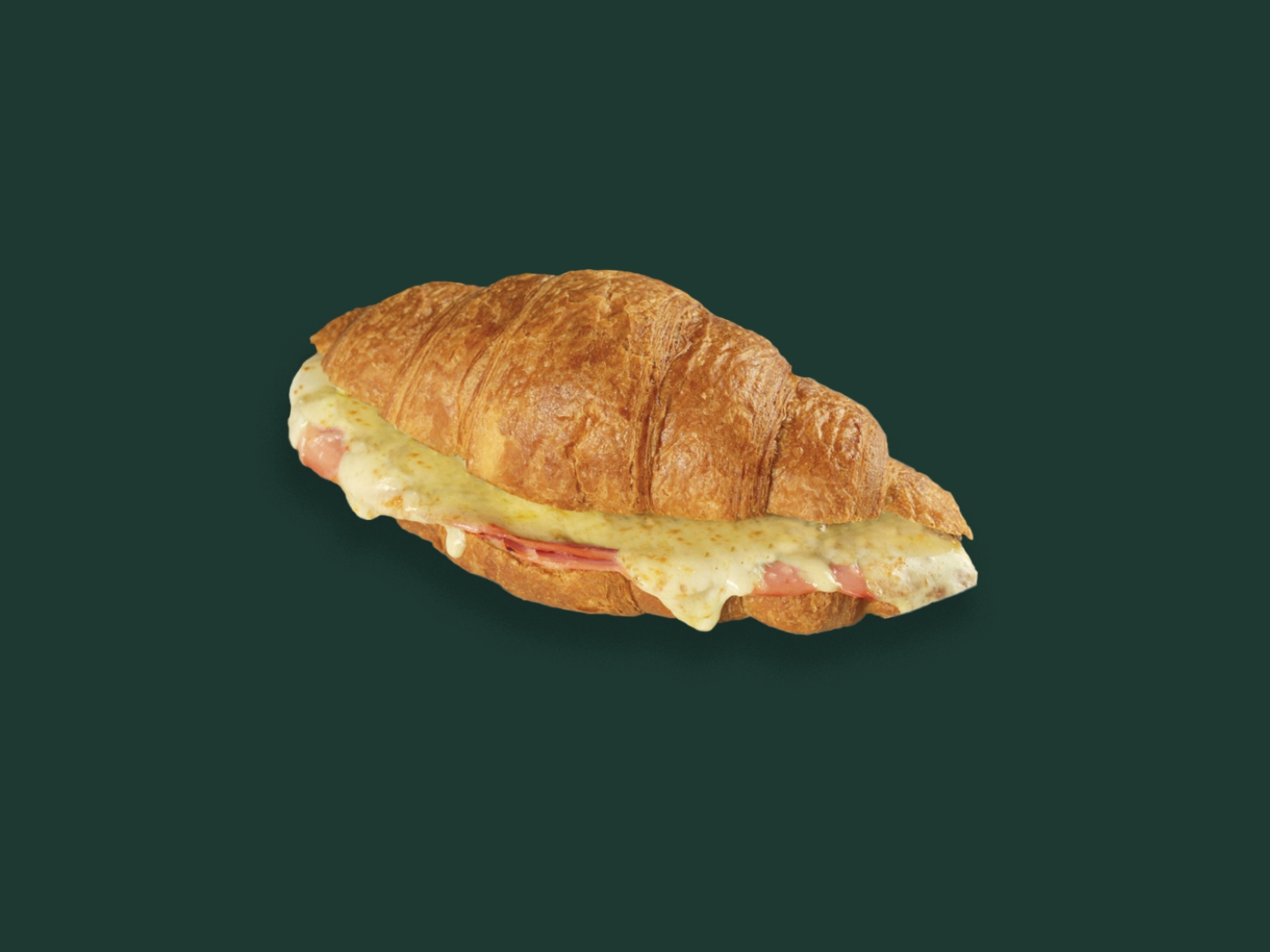 Turkey Cheese Croissant