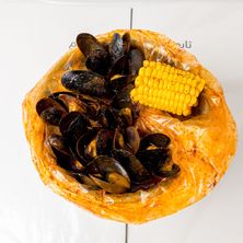 محار بالصوص الابيض