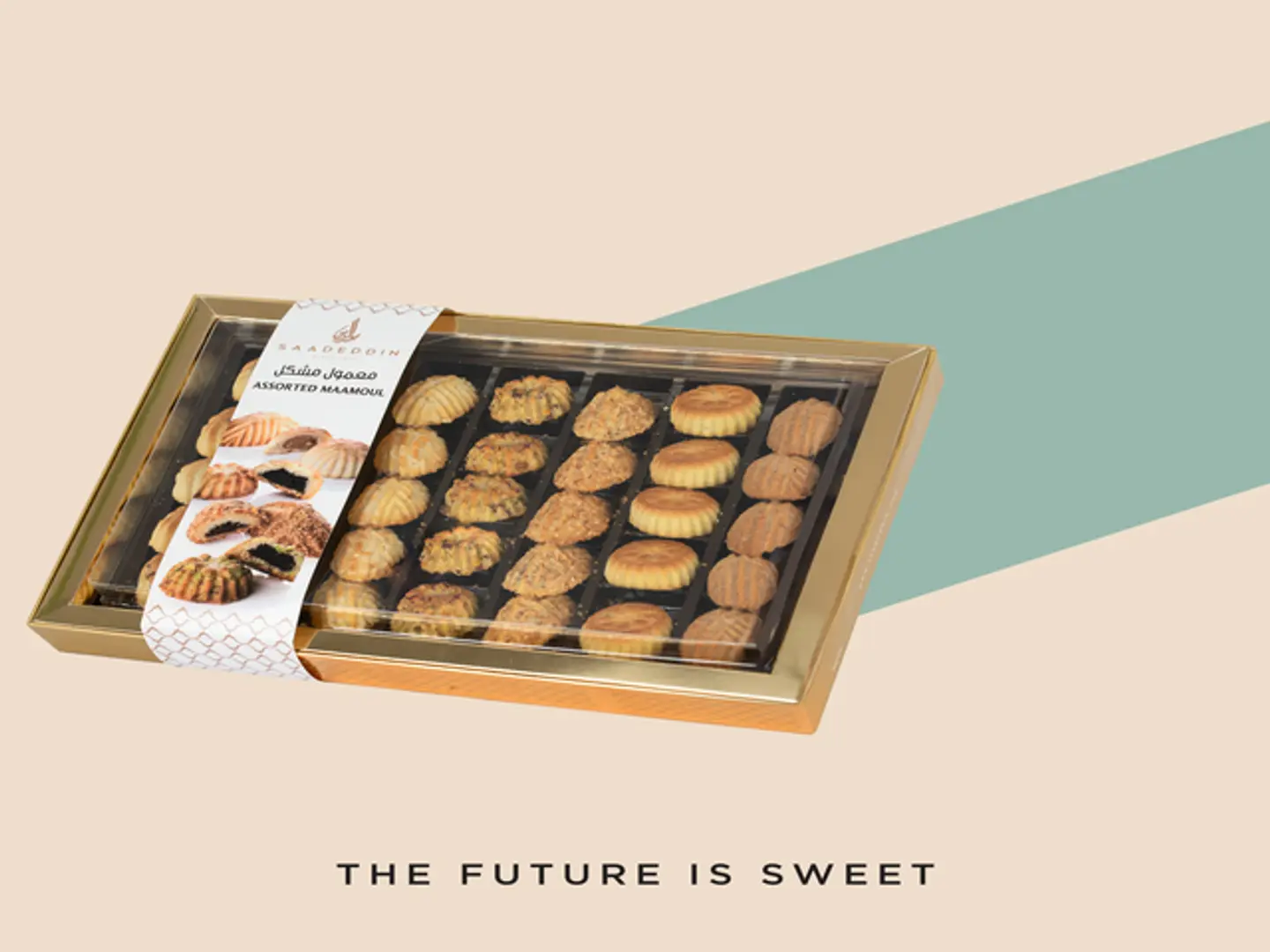 بوكس معمول مشكل شفاف كبير