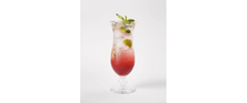 Mixed Berry Mojito موهيتو بيري مشكل