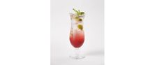 Mixed Berry Mojito موهيتو بيري مشكل