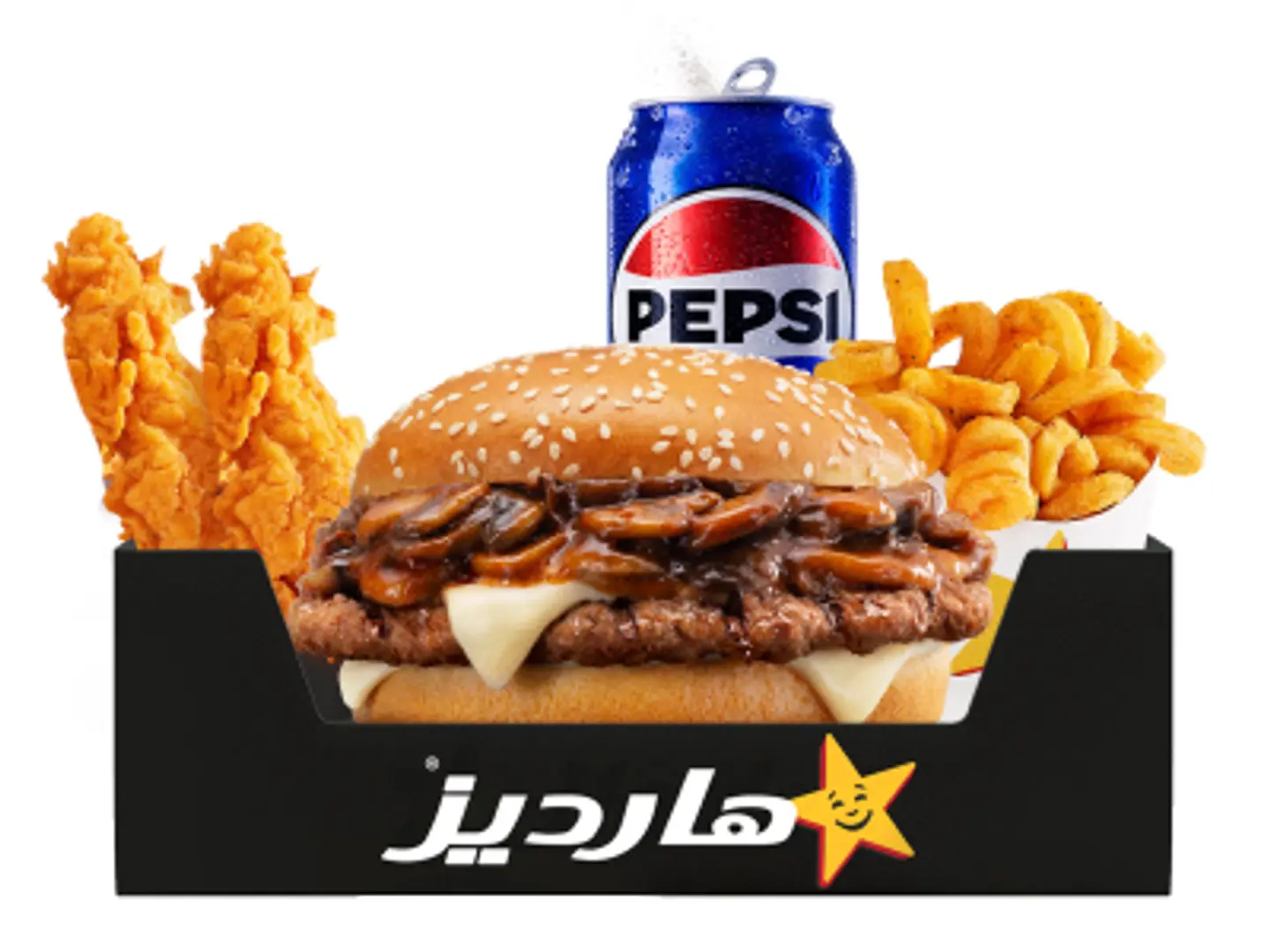 Mushroom N Swiss Box - test