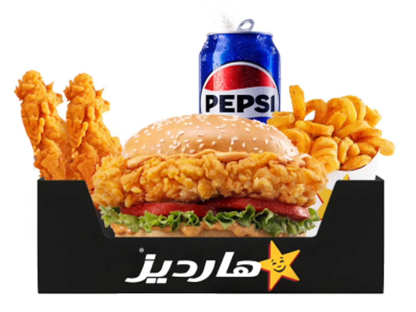 Chicken Santa Fe Box - test