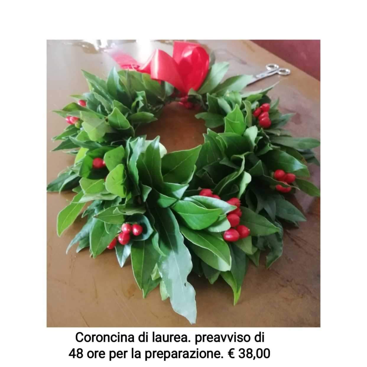 Coroncina di laurea 