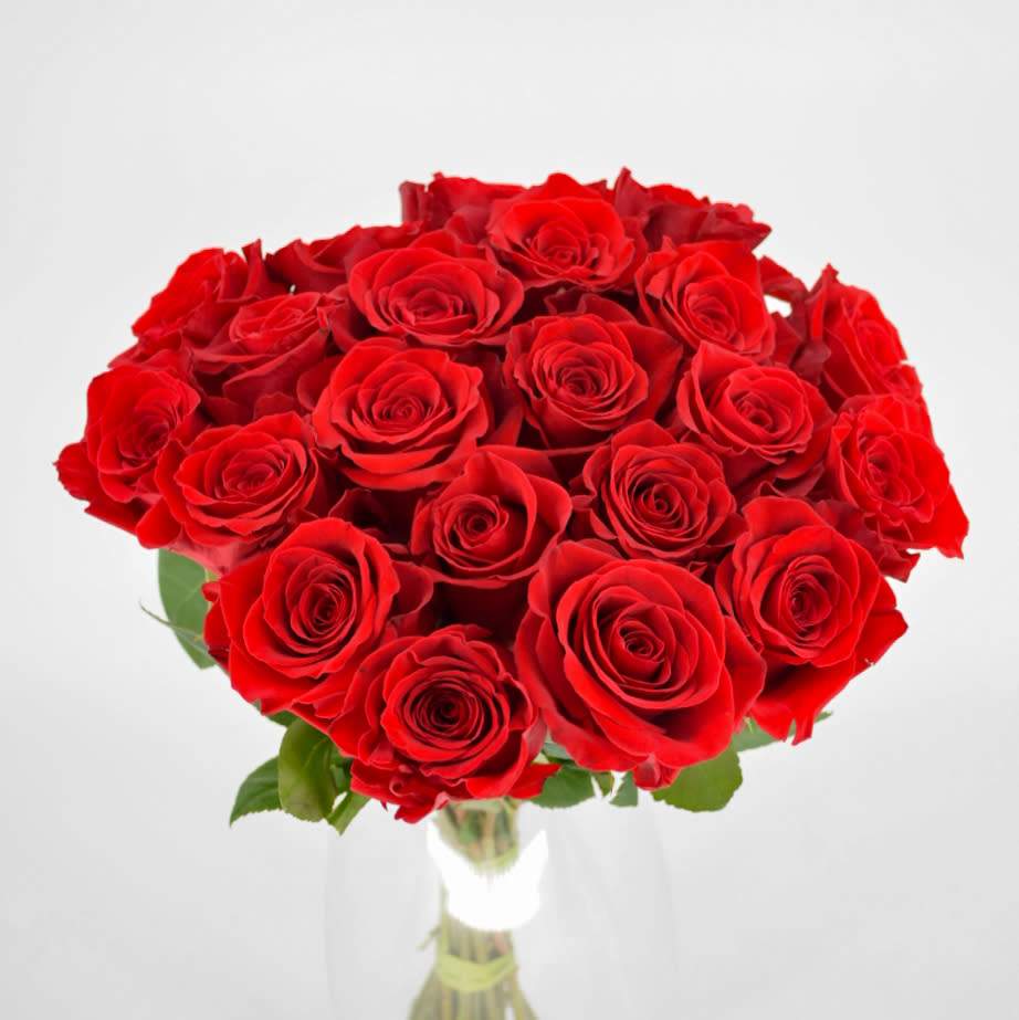 21 Róż czerwonych z rafią