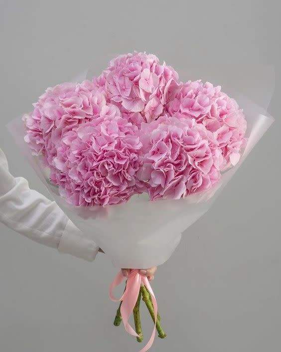 ჰოლანდიური ჰორტენზია (5ტოტი)