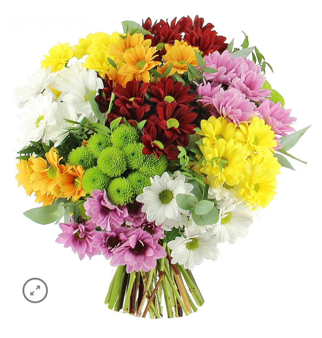 ფერადი ქრიზანთემა (10 ტოტი)