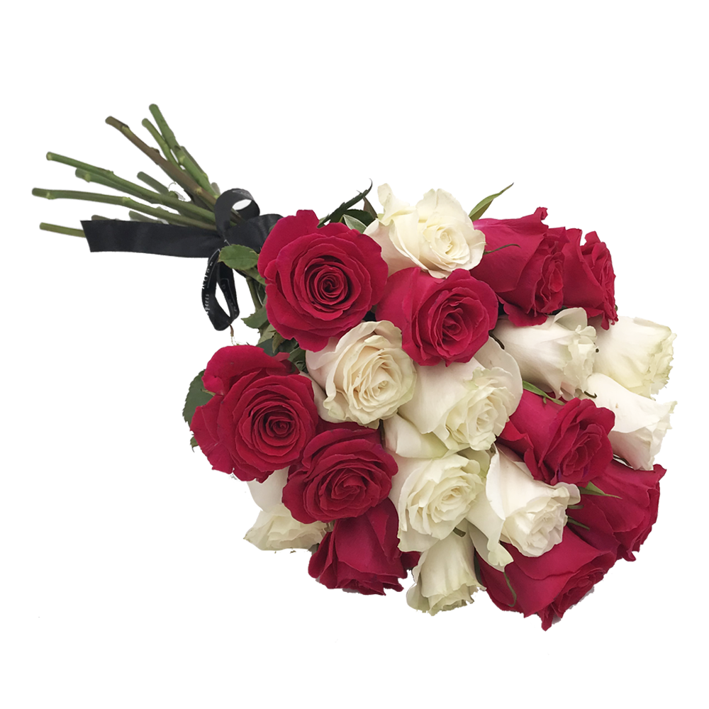 Ramo bicolor fucsia y blanco