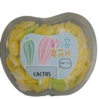 Cactus Hand Soap Assorted 1 Piece