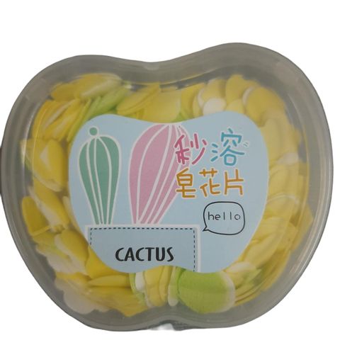 Cactus Hand Soap Assorted 1 Piece