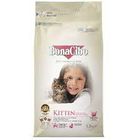 Bonacibo Kitten Chicken Cat Food 1.5KG