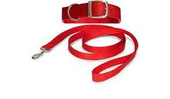 Dog Belt Dog Lead Indian Dog Lish S Size | 1 piece