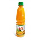 RD Frooti Plus 500ml