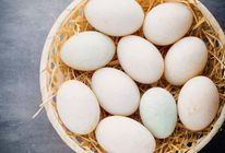 Deshi Duck Egg 6pcs