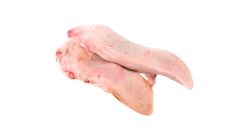 Pig Tongue