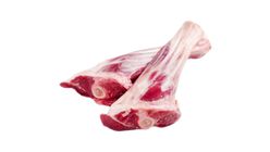 Fore Shank 0.50kg