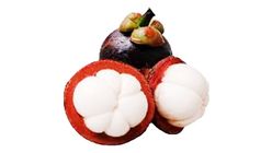 Thai Mangosteen 1 lb