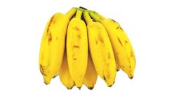 Milky Banana 1 pack